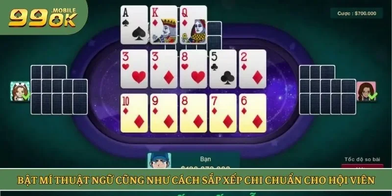 Bật mí thuật ngữ cũng như cách sắp xếp chi chuẩn cho hội viên