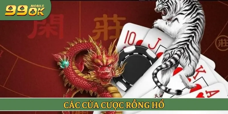 Các cửa cược rồng hổ