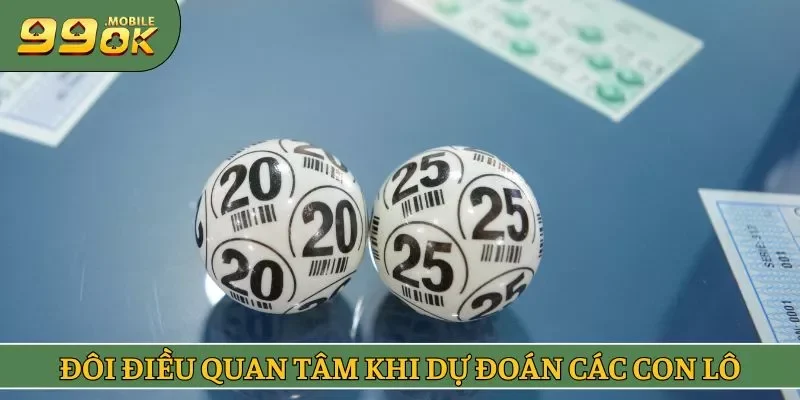 Đôi điều quan tâm khi dự đoán các con lô
