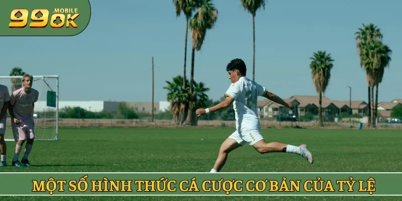 Một số hình thức cá cược cơ bản của tỷ lệ